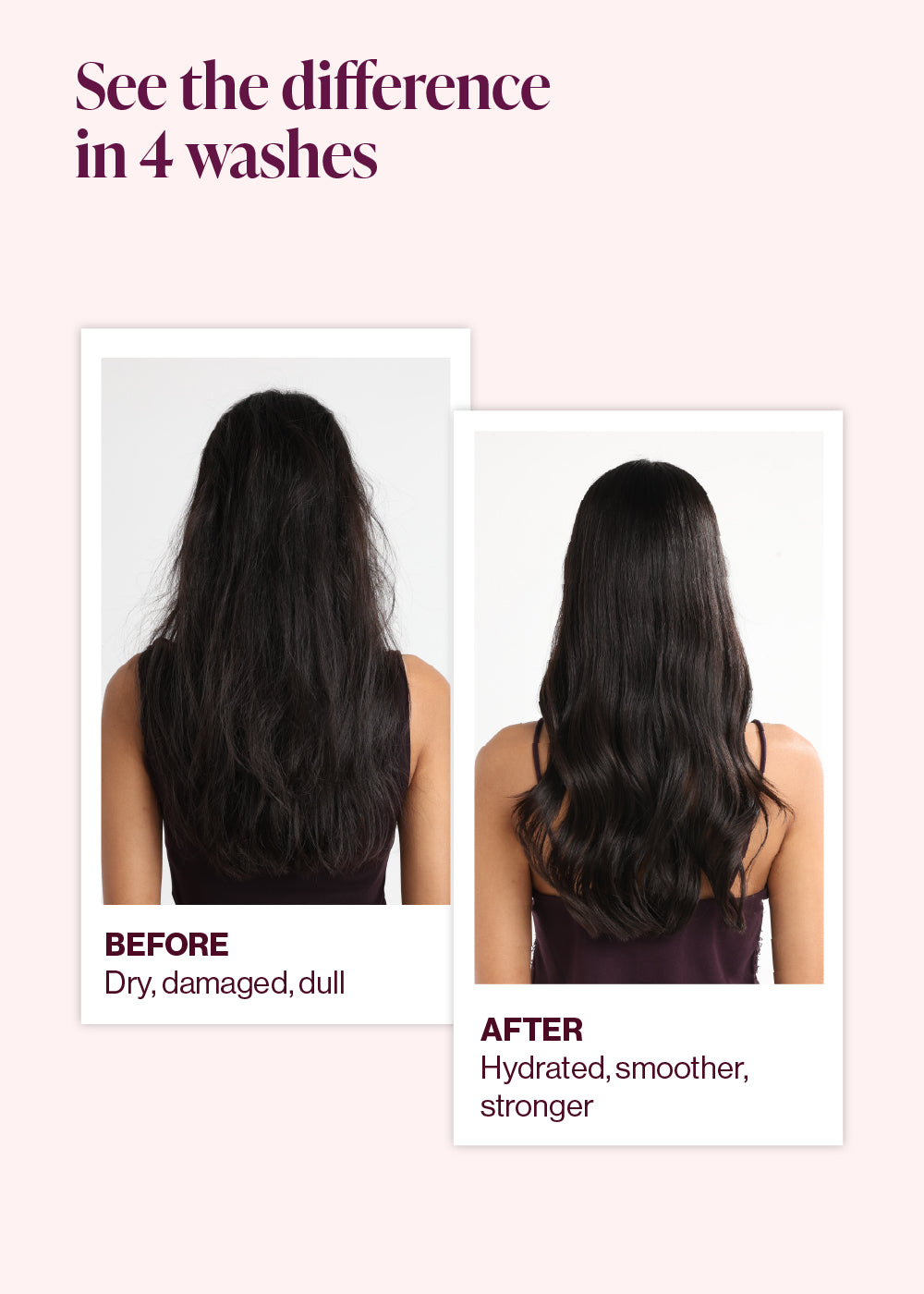 Take Control + Success Story Frizz Repair Kit